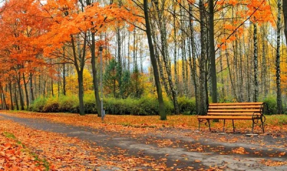 秋季，打好耳健康“保卫战”