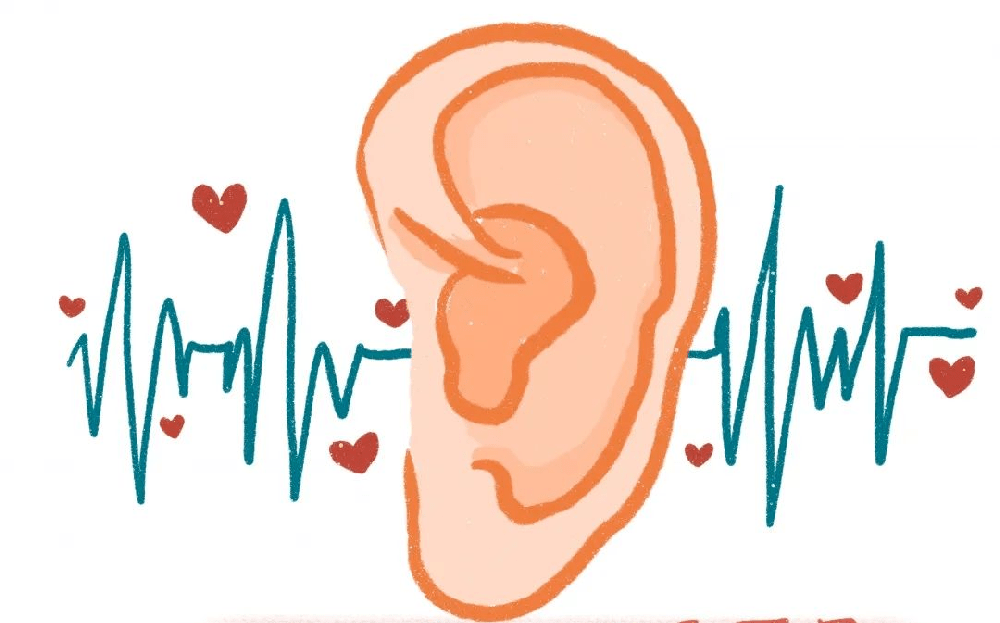 人耳听力损失后为什么不能像伤口一样自愈？