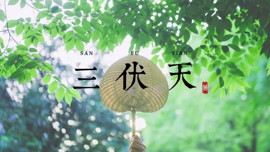 三伏天防暑还是防寒？揭秘夏季养生误区！