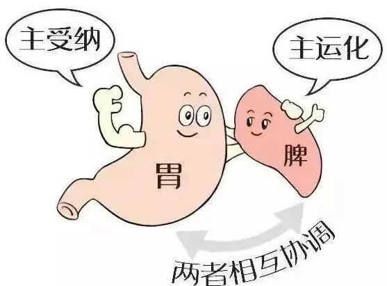 这些症状预示脾胃虚弱！进入10月，少做这几件事！