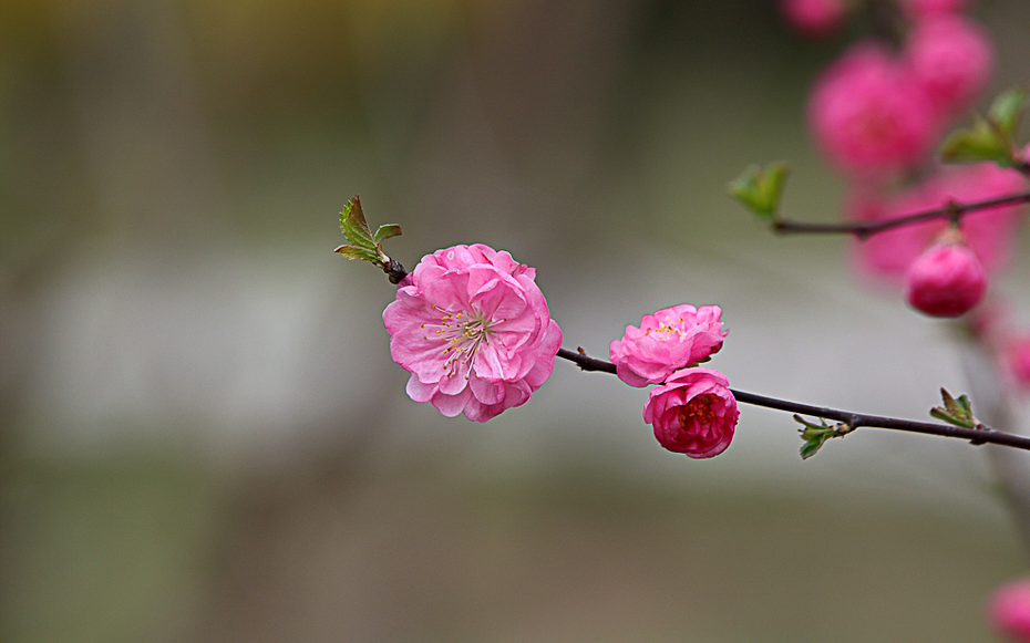 90% 的人都忽略了！春季耳部问题的 5 大预防要点